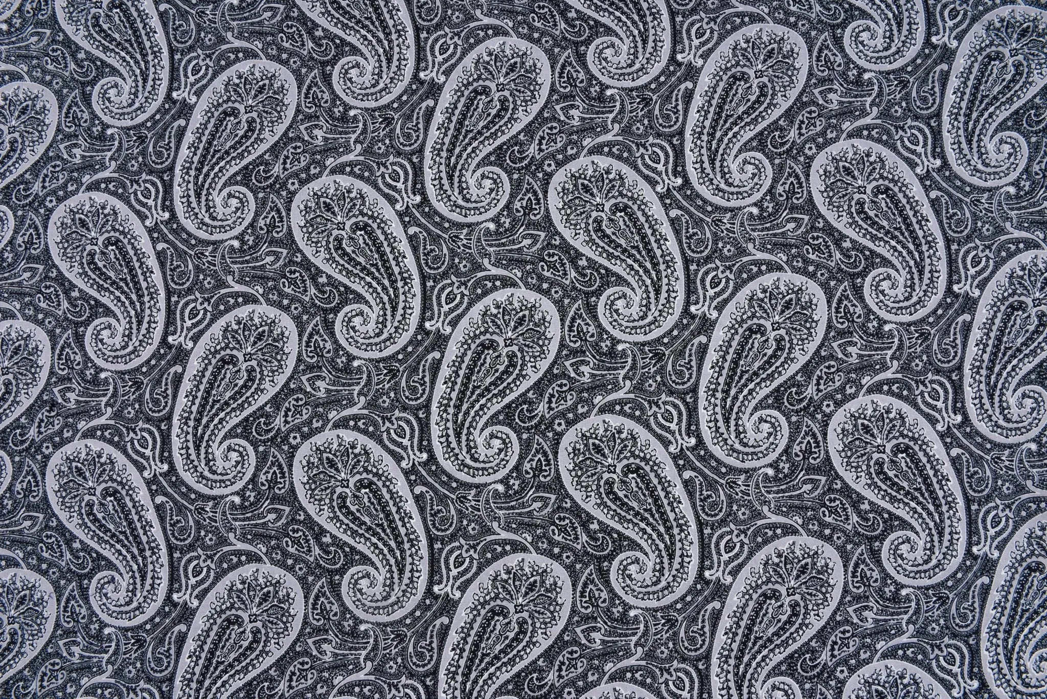 100% Cotton Loom Line  Big Paisley Fabric - 189