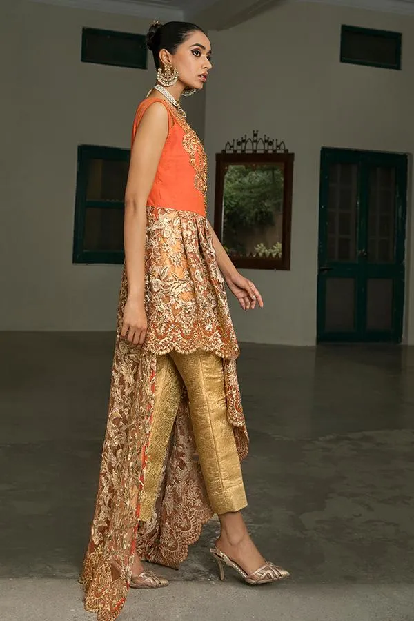 Designer Pakistani Frock Party Wear Online 2021 #PF138